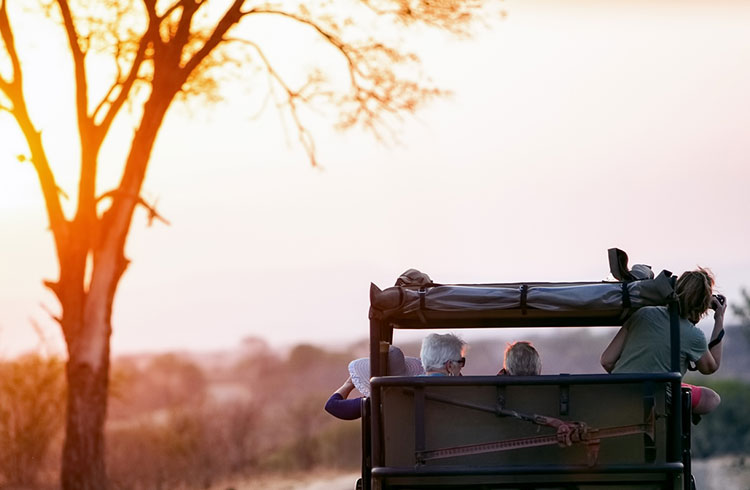 We Take a Look at Eco Tourism Success in South Africa