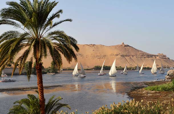 Egypt: Ecotourism and Endangered Wildlife