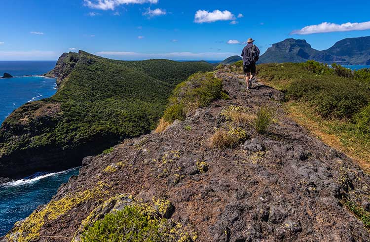 Hiking to the top of Mt Gower on Lord Howe Island.
