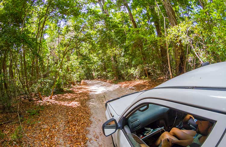 >Driving the inland tracks of Fraser Island, Australia.