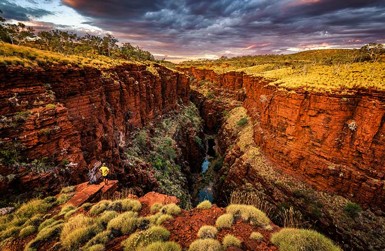 are dogs allowed in national parks in western australia