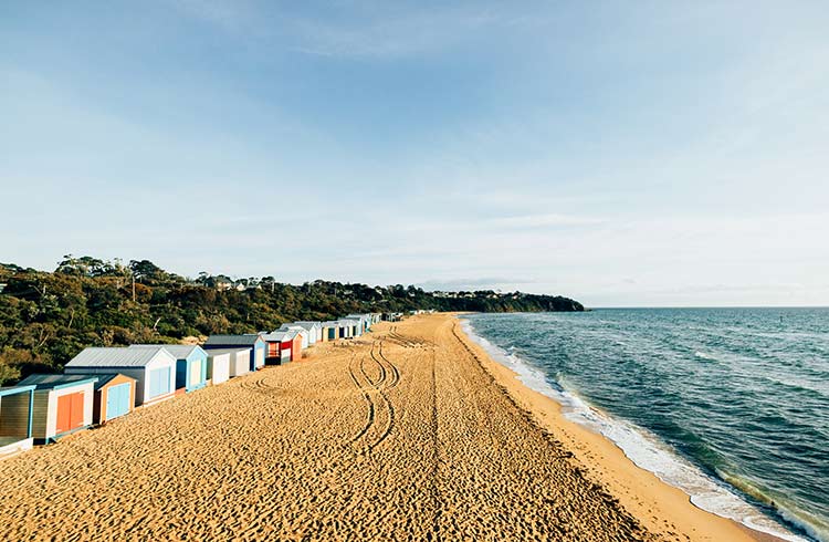 Beach huts on the Mornington Peninsula.