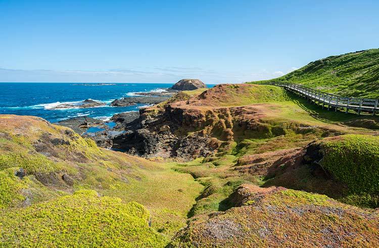 Nobbies landscape on Phillip Island, Victoria.