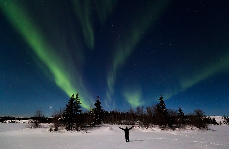 The Northern Lights dancing above the Northwest Territories in Canada.
