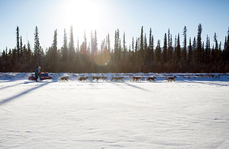 6 Ways to Explore Yukon Territory: Canada’s Wild North