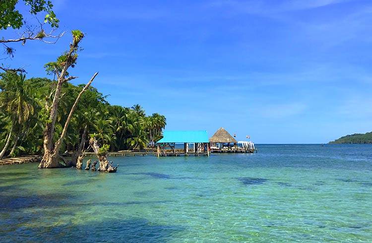 On Isla Carenero, enjoying the view from Bibis on the Beach, Bocas del Toro.
