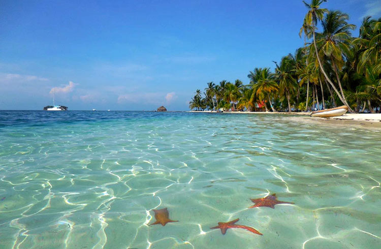Starfish on the shore of the San Blas Islands.