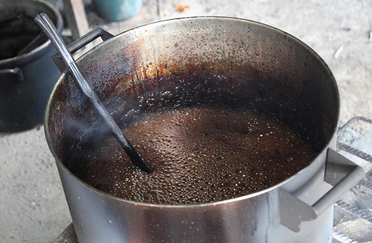 Ayahuasca brewing in a pot