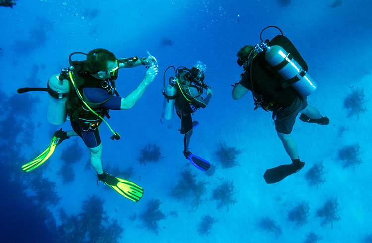 Scuba divers taking underwater photos in Cuba.