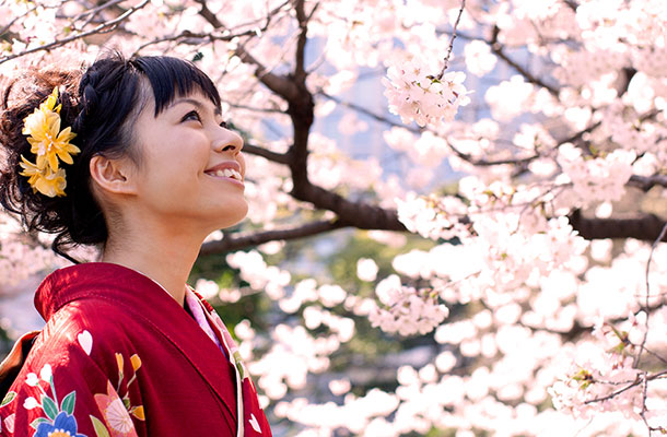 Hanami: Inside Japan's Cherry Blossom Festival