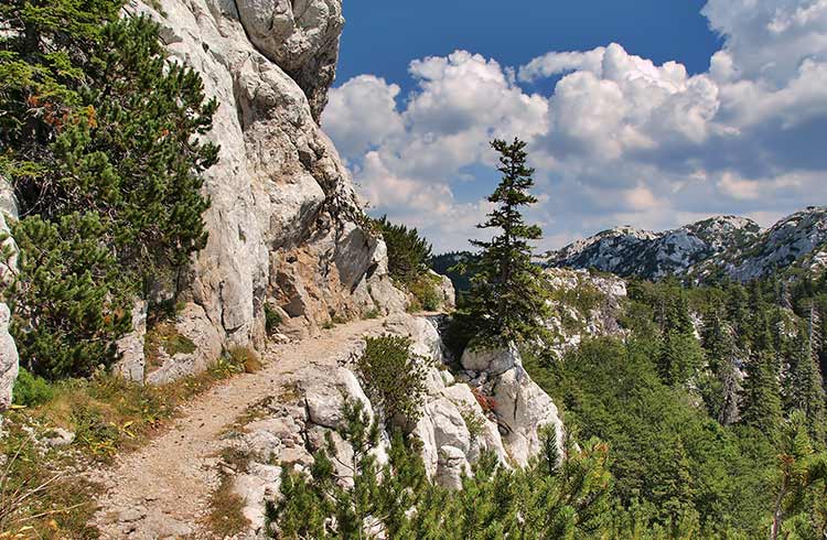 A hiking trail in the Velebit mountains, Croatia.