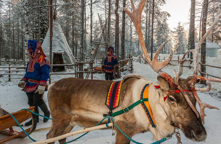 4 Reasons Why You Should Visit Finland in Winter