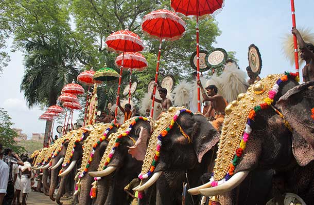 Must See: India's Pooram Festival