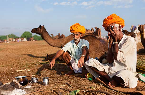 Pushkar Camel Mela: Inside India's Festivals