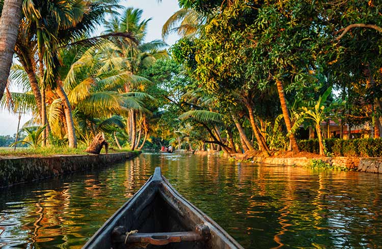 3 Ways to Experience Kerala: India's Incredible South