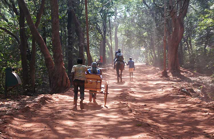 3 Ways to Experience Mumbai and Maharashtra