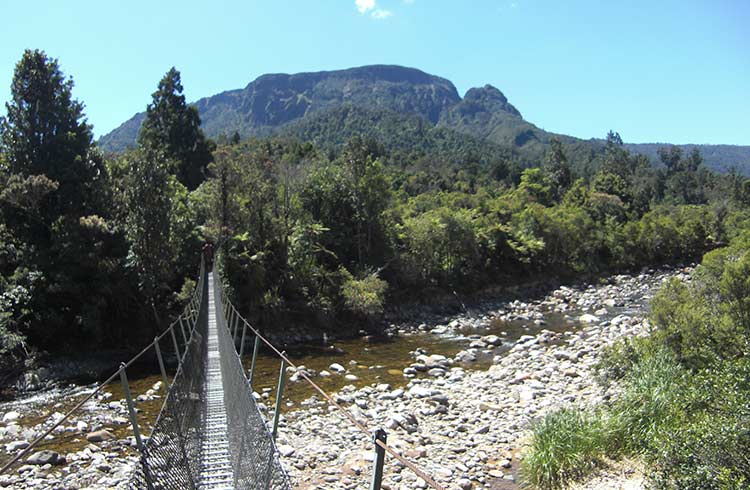 A suspension bridge crossing in Coromandel.