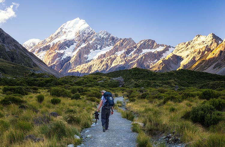 The Ultimate Guide to Road Tripping Around New Zealand