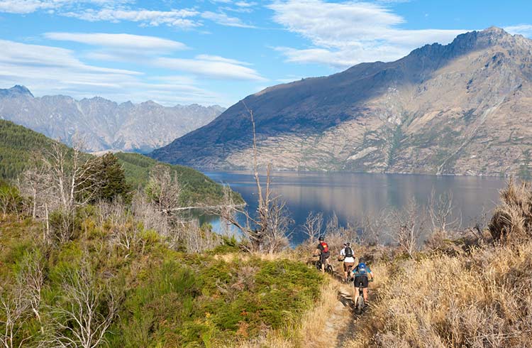 A Guide to Mountain Biking in New Zealand