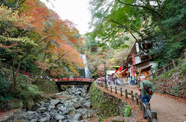 3 Outdoor Walks in Osaka That’ll Take Your Breath Away