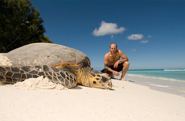 What's It Like to be a Sea Turtle Conservation Volunteer?