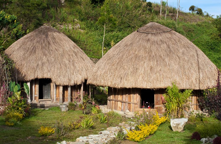 Traditonal huts in West Papua.