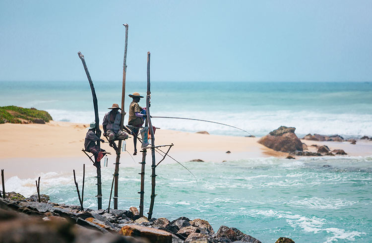 Stilt fishermen in Sri Lanka.