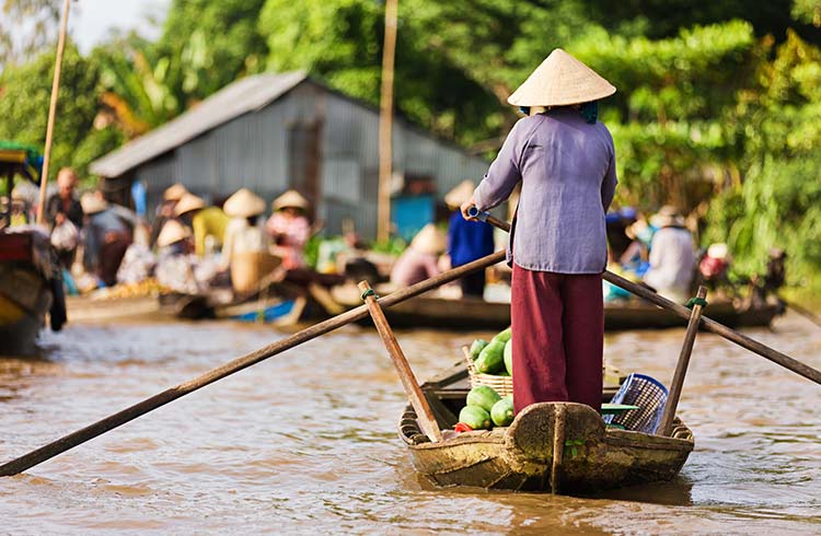 Vietnamese woman rowing boat in the Mekong River Delta, Vietnam
