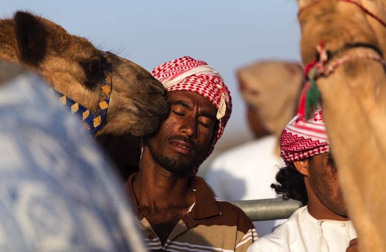 Omani man with Camel