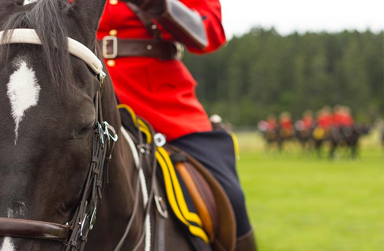 Mounted Police Officer in Canada