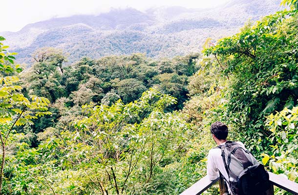 Costa Rica Rainforest