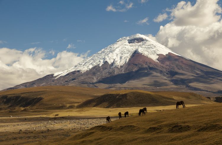 Adventure Sports in Ecuador: Essential Travel Safety Tips