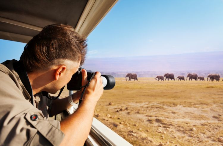 Man taking photo of elephants in the African savannah