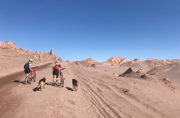 How a Sanitary Pad Saved Me in the Atacama Desert