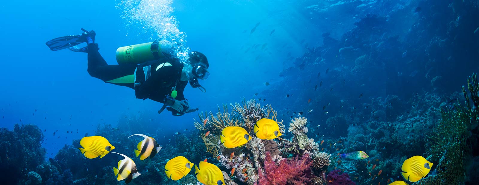 Travel Insurance When Scuba Diving World Nomads