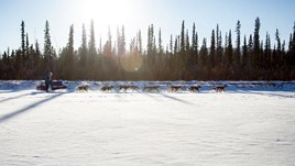 6 Ways to Explore Yukon Territory: Canada’s Wild North