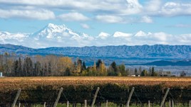 What to See and Do in Mendoza, Argentina 