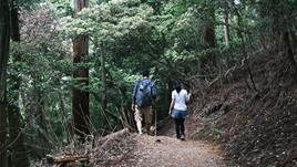 6 of the Best Mountain Hiking Trails in Japan