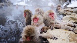 Onsen Etiquette: What Travelers Need to Know