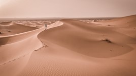 The Challenges of Desert Photography