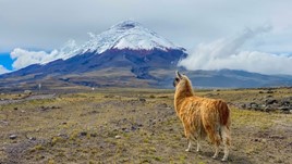 What to Know Before Visiting Ecuador: 5 Travel Tips