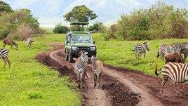 On Safari: The Best National Parks in Tanzania