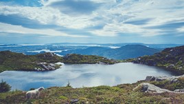 Adventure in Norway: Wildlife and Wilderness Safety