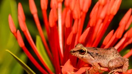 World nomads quote World nomads quote