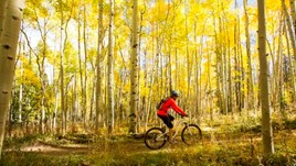 4 of the Best Places for Mountain Biking in the US