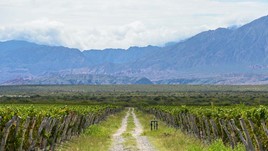 Argentina Discoveries: Love for Wine and Beer