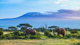 Tanzania Travel Alerts and Warnings
