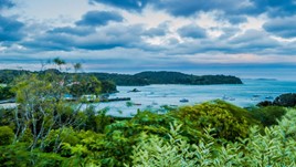 9 Incredible Experiences on Stewart Island, New Zealand