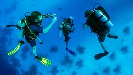 Top 5 Scuba Diving Spots in Cuba