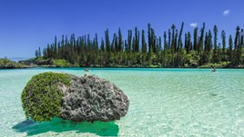 New Caledonia Travel Alerts and Warnings